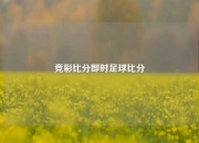 竞彩比分即时足球比分