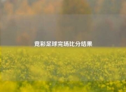 竞彩足球完场比分结果