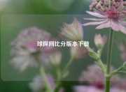 球探网比分版本下载