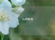 5oo万比分