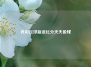 竞彩足球新浪比分天天盈球