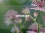 篮球比分|篮球