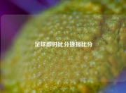 足球即时比分捷报比分