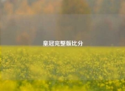 皇冠完整版比分