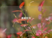 赢家比分