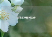皇冠篮球即时比分