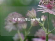 今日竞彩比赛比分推荐预测