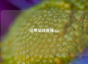 法甲足球直播app