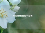 2002世界杯比分一览表