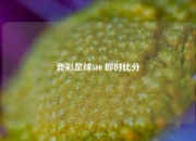 竞彩足球500 即时比分