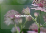 竞彩比分赛果查询