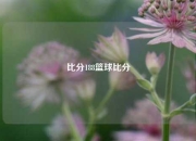 比分188篮球比分