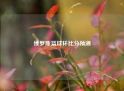 俄罗斯篮球杯比分预测
