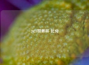 2021世界杯 比分