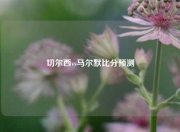 切尔西vs马尔默比分预测