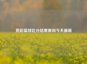 竞彩篮球比分结果查询今天最新