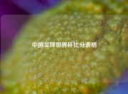 中国足球世界杯比分表格