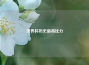 世界杯历史最高比分