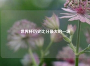 世界杯历史比分最大的一场