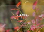 u23比分预测