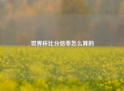 世界杯比分倍率怎么算的