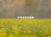 乒乓球滚球规则