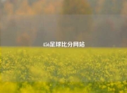 456足球比分网站
