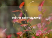 足球比赛直播在线观看免费