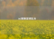 365球探足球比分