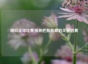 周日足球比赛预测把握胜算的关键因素
