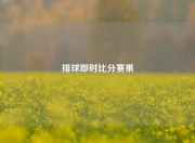 排球即时比分赛果