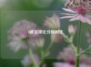 8波足球比分即时比