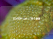足球即时比分app哪个最好