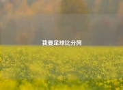 我要足球比分网
