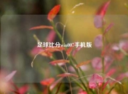 足球比分win007手机版