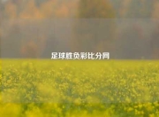 足球胜负彩比分网