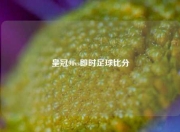 皇冠90vs即时足球比分