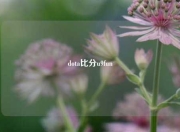 dota比分u9fun