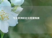 今天欧洲杯比分竞猜预测