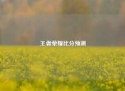 王者荣耀比分预测