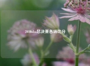 2010nba总决赛各场比分