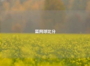篮网球比分