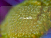 比分365官网