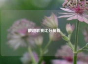俄超联赛比分赛程
