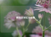 韩国足球比分结果
