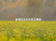 足球比分大小怎么算的