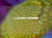 nba总决赛比分最新数据