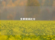 北单现场比分