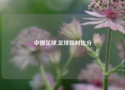 中国足球,足球即时比分