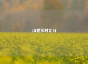 山猫实时比分